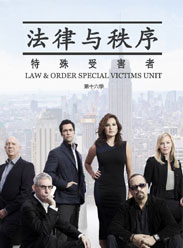 法律与秩序特殊受害者第十六季 第12集